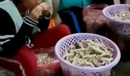 剔骨鸡爪爆料视频播放,视频播放背后的真相曝光