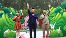 新疆明星爆料视频最新消息,揭秘幕后故事与精彩瞬间