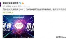 dimoo最新爆料,最新爆料背后的故事与真相