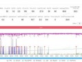 网易新闻爆料原神,网易内部资料曝光，神秘新角色即将登场！