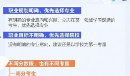 视频爆料市场有哪些,市场动态新趋势