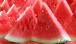 网红吃瓜网站注意事项,安全上网，文明吃瓜指南