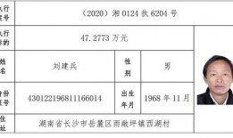 宁乡新闻爆料网站有哪些,聚焦本地资讯，传递民生声音